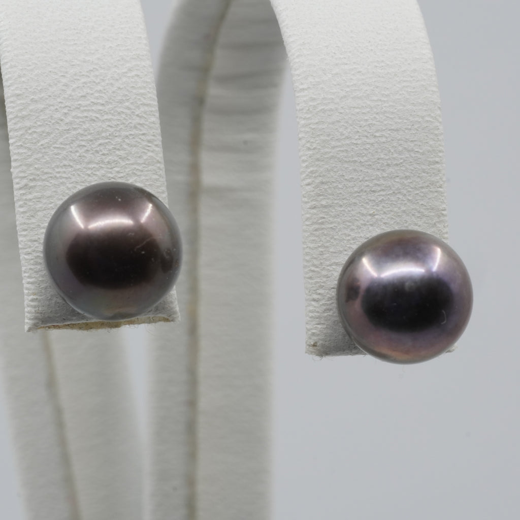 14K Gold Black Pearl Stud Earrings