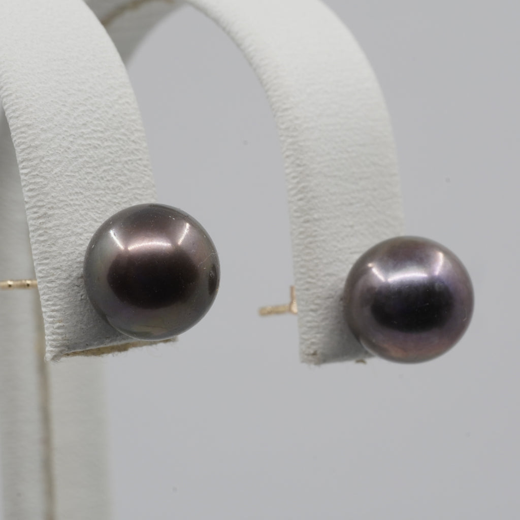 14K Gold Black Pearl Stud Earrings